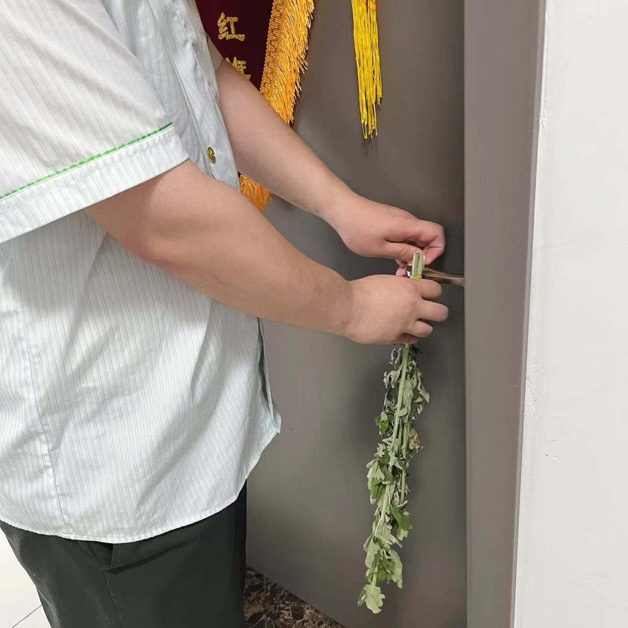 圖片5.png